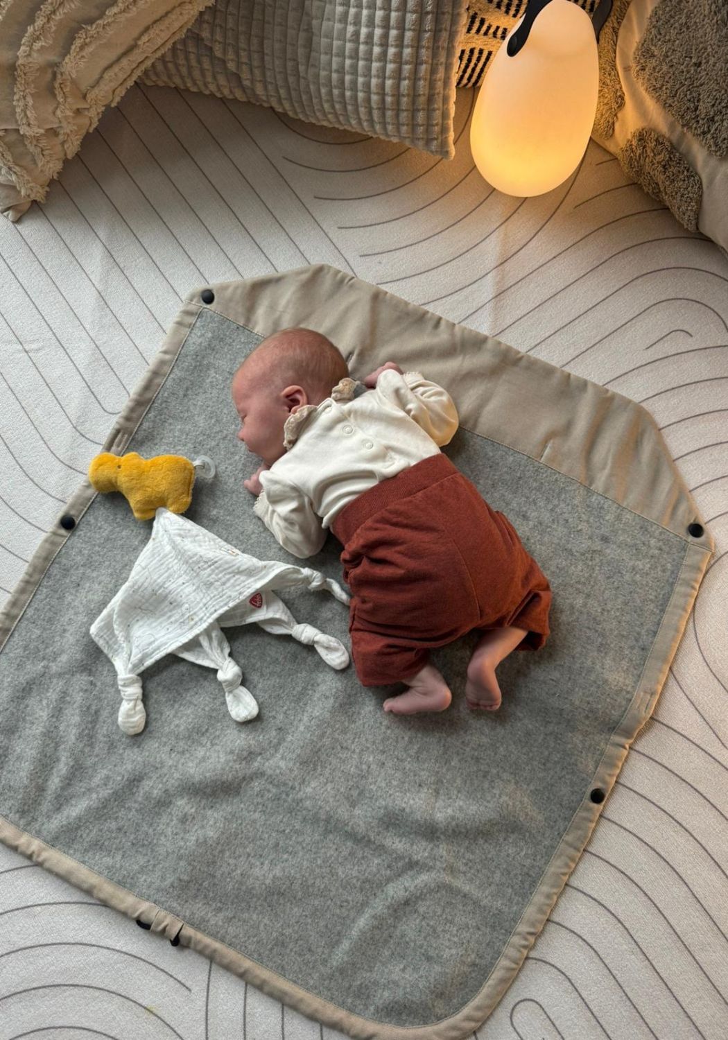 LELY das wollige Wettercover 